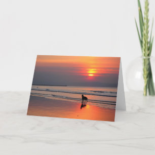 Calm Seas & Sunset - Scripture Greeting Card