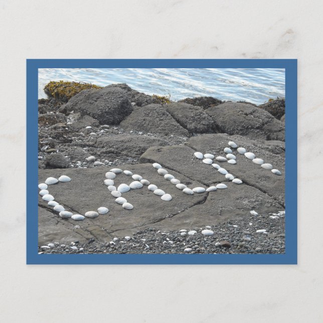 Calm - Seashell Word Art Postcard (Front)