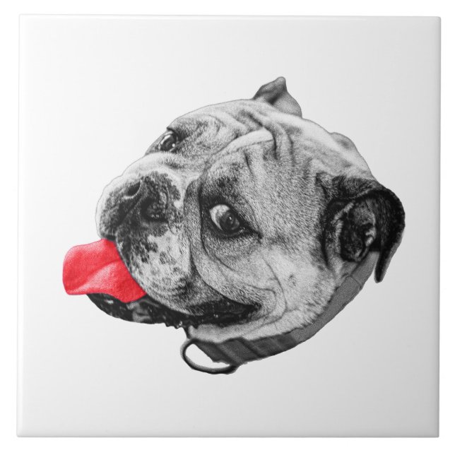 Calm Set with Warmth Ceramic Tile (Front)