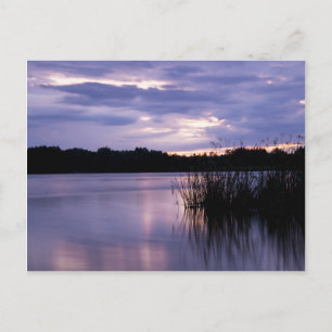 Calm Waters Postcard