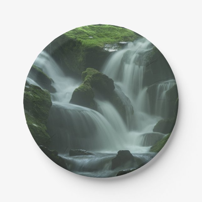 Calming Waterfall Paper Plate (Front)