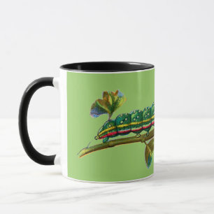 Calocampa vetusta caterpillar mug