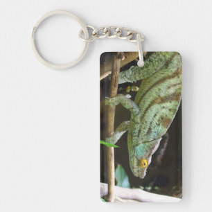 Calumma Parsonii Key Ring
