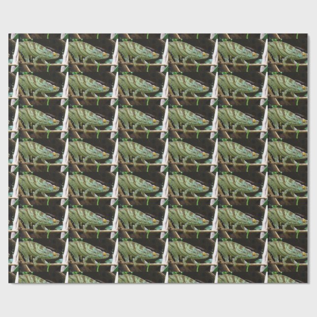 Calumma Parsonii Wrapping Paper (Flat)