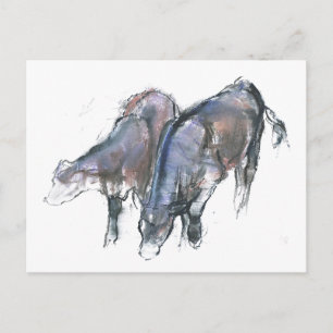 Calves 2006 postcard