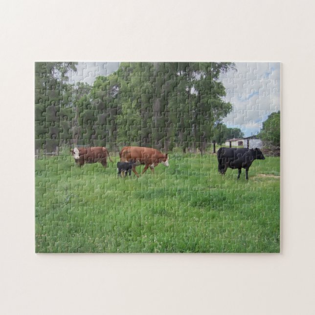 Calves and Cows in Pasture Jigsaw Puzzle (Horizontal)