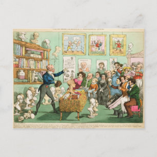 Calves' Heads and Brains; a Phrenological Postcard