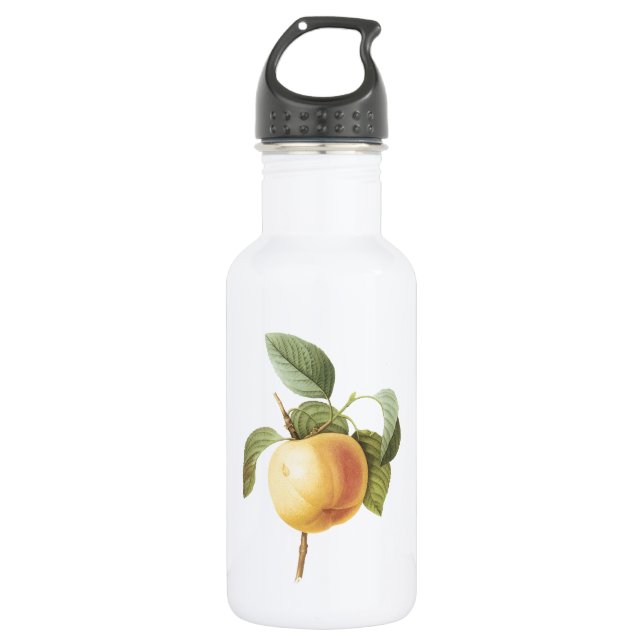 Calville apple(Malus sp.) by Redouté 532 Ml Water Bottle (Front)