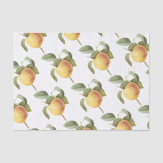 Calville apple Pattern Tissue Paper