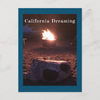 Calvin the Sleeping Dog Postcard