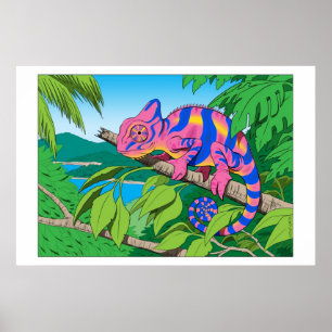 calypso poster