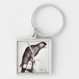 Calyptorhynchus Baudinii, or Baudin's Cockatoo Key Ring