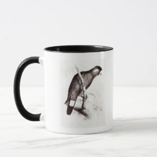 Calyptorhynchus Baudinii, or Baudin's Cockatoo Mug