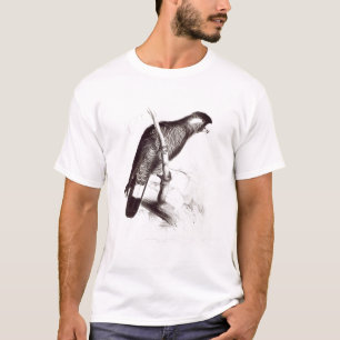 Calyptorhynchus Baudinii, or Baudin's Cockatoo T-Shirt