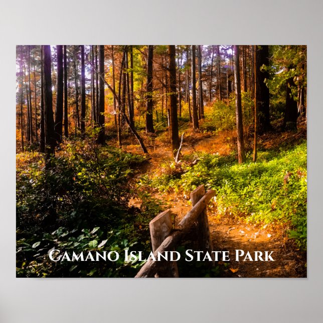 Camano Island State Park in Fall  Poster (Front)