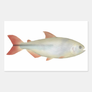Camapuã Rectangular Sticker