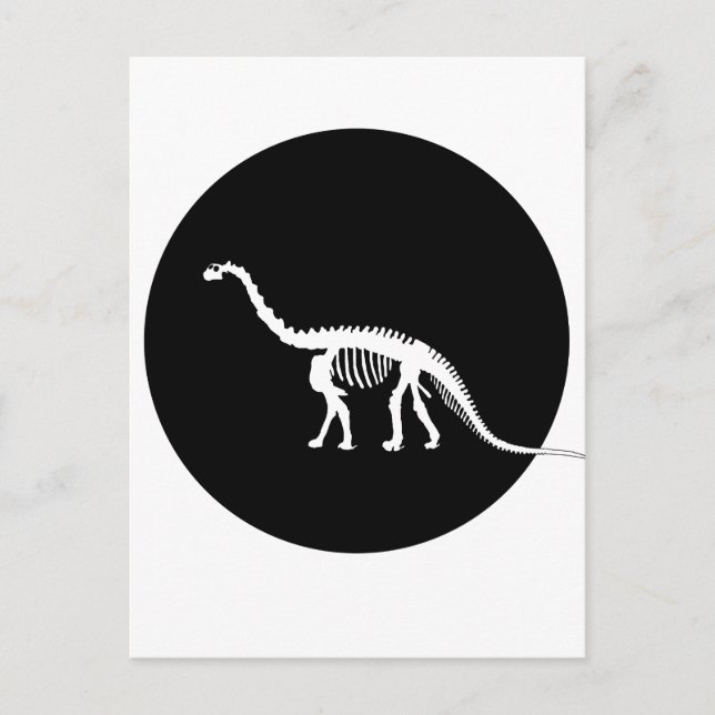 camarasaurus skeleton postcard (Front)