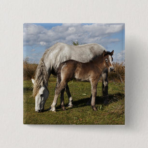 Camargue Horse Foal with Mother 15 Cm Square Badge