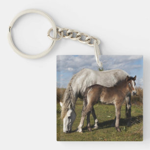 Camargue Horse Foal with Mother Key Ring