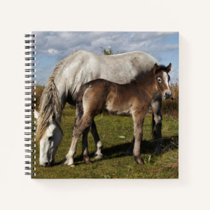 Camargue Horse Foal with Mother Notebook