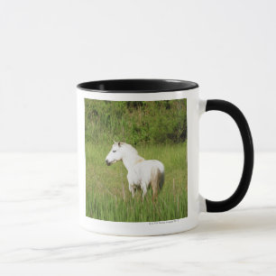 Camargue Horse in the Alpes Cote d'Azur of the Mug