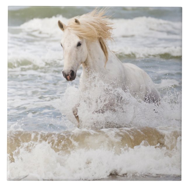 Camargue Horse in the Surf Ceramic Tile (Front)