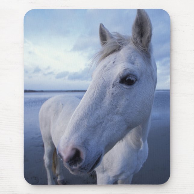 Camargue Horse Mouse Pad (Front)