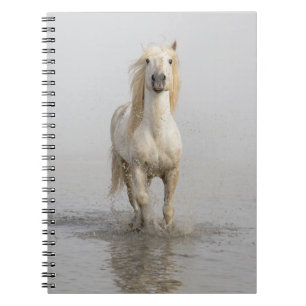 Camargue Horse Running in Water Notebook