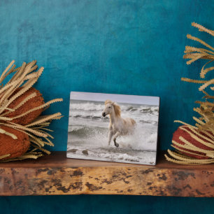 Camargue Horse Running out of Surf Plaque