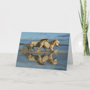 Camargue Horses and Reflection, Southern France Card