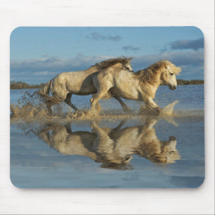 Camargue Horses and Reflection, Southern France Mouse Pad