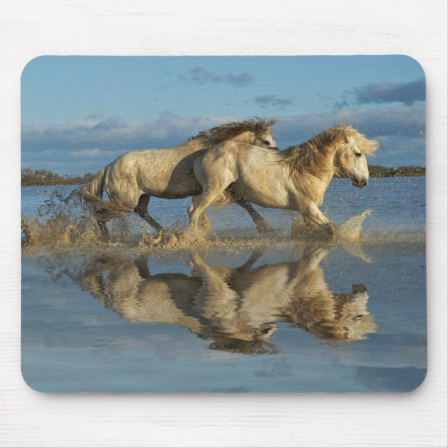 Camargue Horses and Reflection, Southern France Mouse Pad (Front)