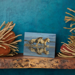 Camargue Horses and Reflection, Southern France Plaque