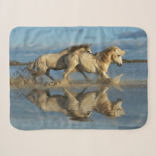 Camargue Horses and Reflection, Southern France Sherpa Blanket