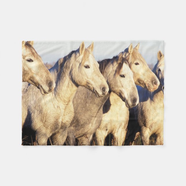 Camargue Horses (Eguus caballus) Fleece Blanket (Front (Horizontal))