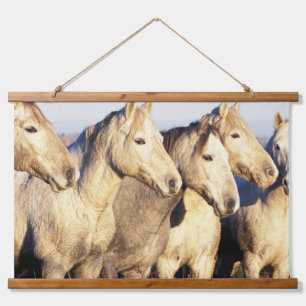 Camargue Horses (Eguus caballus) Hanging Tapestry