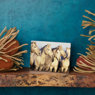Camargue Horses (Eguus caballus) Plaque