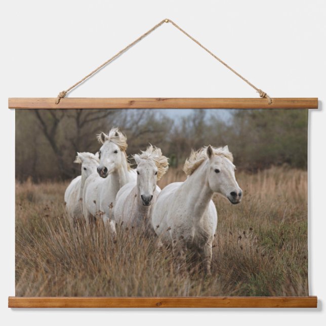 Camargue Horses Running Hanging Tapestry (Front)