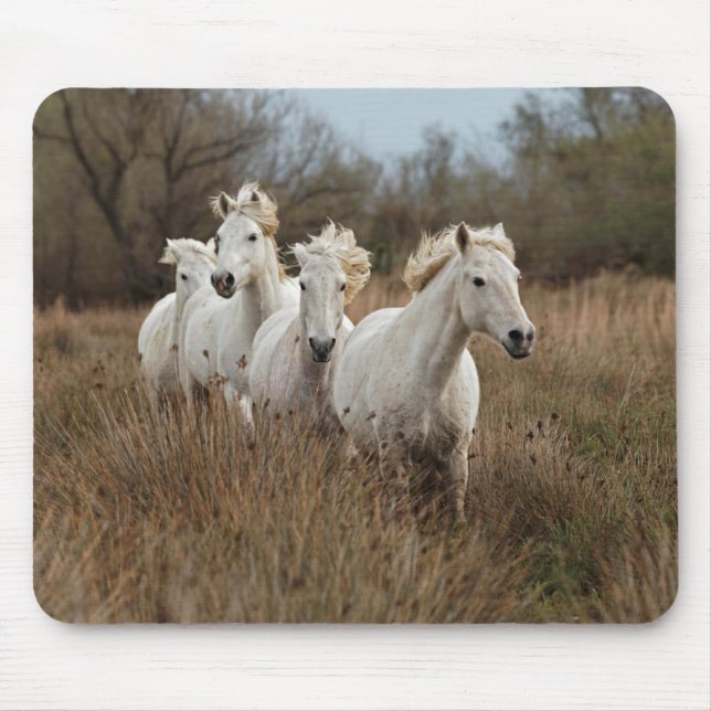 Camargue Horses Running Mouse Pad (Front)