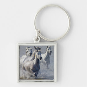Camargue horses running on marshland to cross key ring