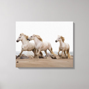 Camargue Horses Running on the Beach Canvas Print