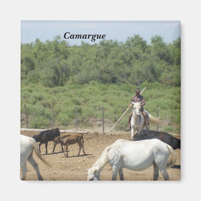 Camargue - magnet (Front)