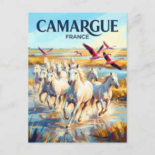 Camargue Regional Nature Park France Postcard