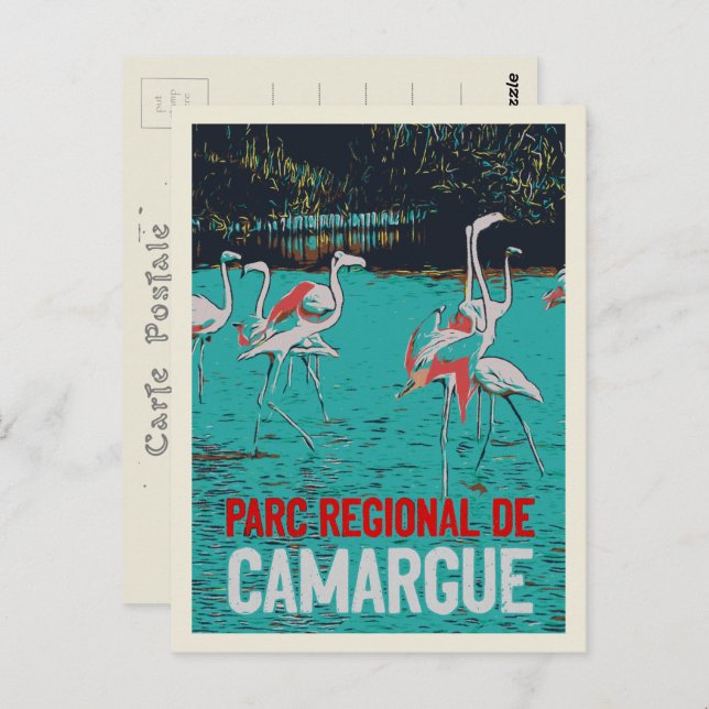 Camargue regional park, France, pink flamingos Postcard (Front/Back)