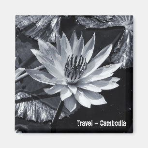 Cambodia - Lotus Flower BW (Fridge Magnet) Magnet