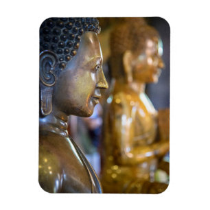 Cambodia, Phnom Penh. Buddha statues Magnet