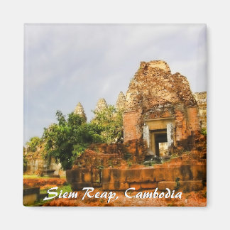 Cambodia Temple Ruins Magnet