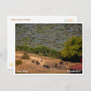 Cambodian Village Landscape Postcard