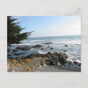 Cambria, CA 2 Postcard
