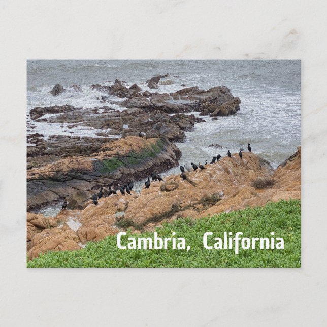 Cambria California Postcard (Front)